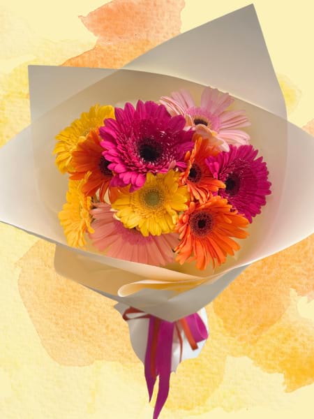 Gerbera Delight (Florist's Choice Mix)
