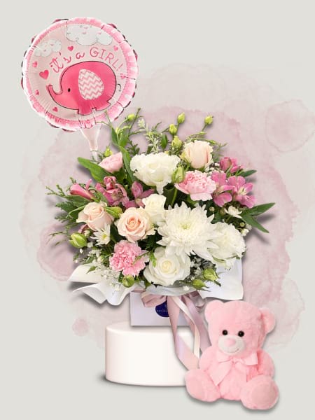 Welcome Baby Girl Gift Set