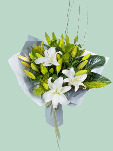 Lily Lovers