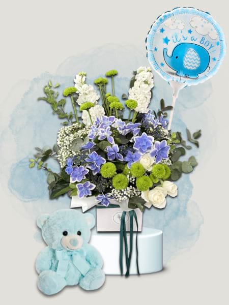 Welcome Baby Boy Gift Set